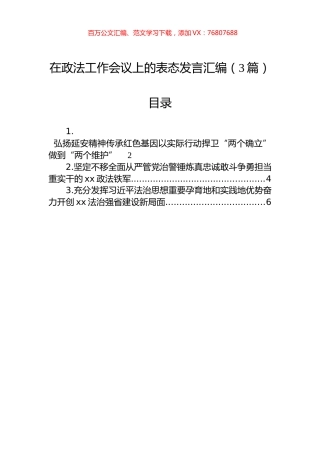在政法工作会议上的表态发言汇编（3篇）.docx