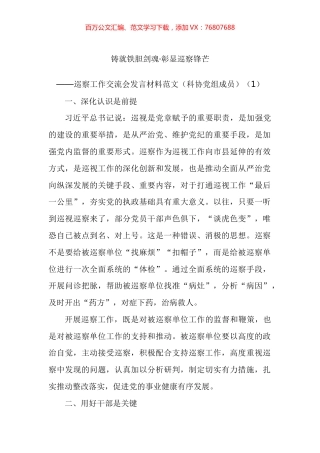 巡察工作座谈会交流发言材料汇编（10篇）.docx
