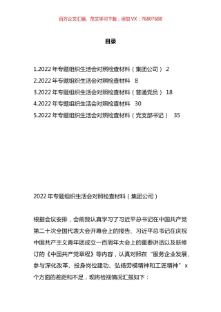 党支部书记、党员、集团公司领导在年度专题组织生活会个人对照检查材料汇编.docx