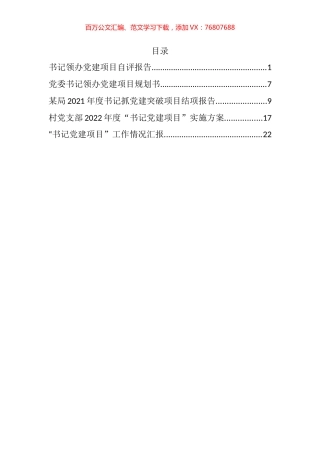 书记党建项目汇编.docx