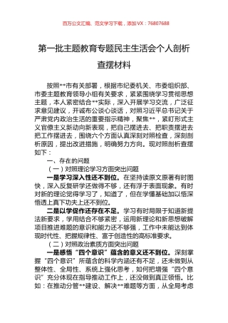 第一批主题教育专题民主生活会个人剖析查摆材料.docx