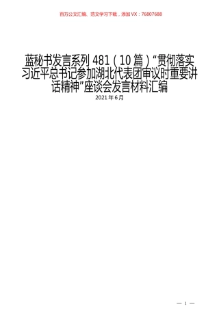 （10篇）“贯彻落实习近平总书记参加湖北代表团审议时重要讲话精神”座谈会发言材料汇编.docx