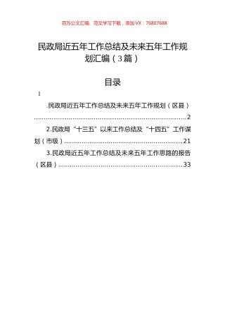 民政局近五年工作总结及未来五年工作规划汇编（3篇）.docx