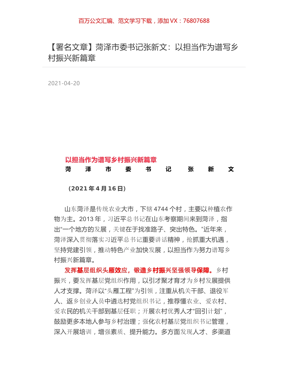 菏泽市委书记张新文：以担当作为谱写乡村振兴新篇章.docx_第1页