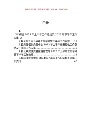 2023年上半年工作总结及下半年工作安排汇编.docx