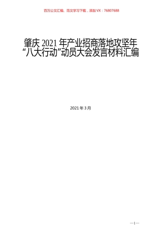 （7篇）肇庆2021年产业招商落地攻坚年“八大行动”动员大会发言材料汇编.docx