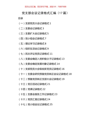 党支部会议记录格式汇编（17篇）.docx