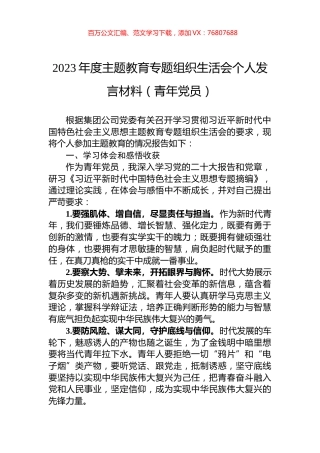 2023年度主题教育专题组织生活会个人发言材料（青年党员）.docx