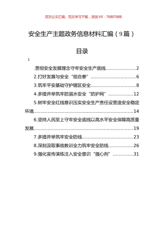 安全生产主题政务信息材料汇编（9篇）.docx
