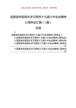 县委宣传部部长学习贯彻十九届六中全会精神心得体会汇编（5篇）.docx