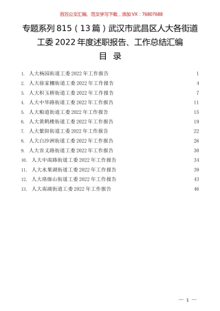 （13篇）武汉市武昌区人大各街道工委2022年度述职报告、工作总结汇编.docx