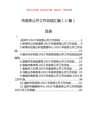 2022年市政务公开工作总结汇编（11篇）.docx