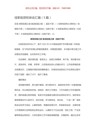 挂职收获和体会汇编（5篇）.docx