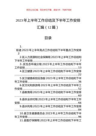 2023年上半年工作总结及下半年工作安排汇编（12篇）.docx