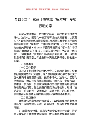 X县2024年营商环境领域“啄木鸟”专项行动方案.docx