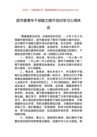 团市委青年干部能力提升培训学习心得体会.docx