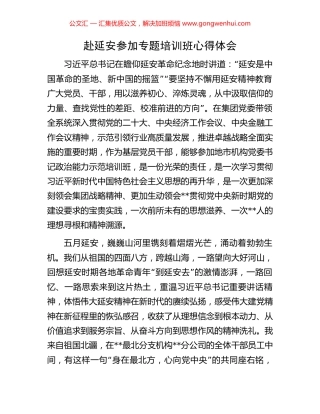 赴延安参加专题培训班心得体会.docx