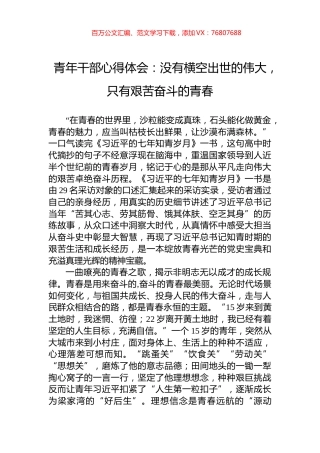 青年干部心得体会：没有横空出世的伟大，只有艰苦奋斗的青春.docx