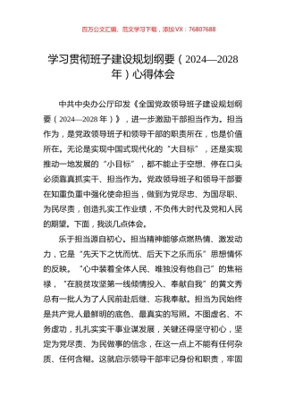 学习贯彻班子建设规划纲要（2024—2028年）心得体会.docx