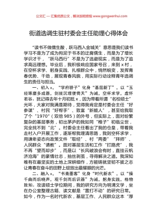 街道选调生驻村委会主任助理心得体会.docx