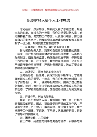 纪委财务人员个人工作总结.docx