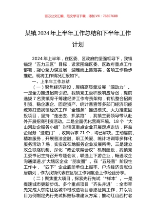 某镇2024年上半年工作总结和下半年工作计划.docx