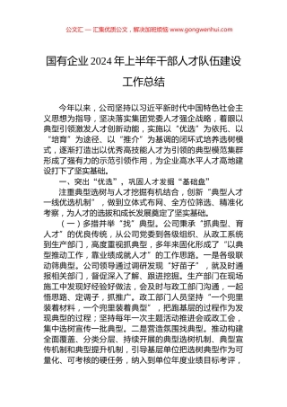 国有企业2024年上半年干部人才队伍建设工作总结.docx