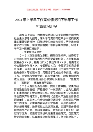 2024年上半年工作完成情况和下半年工作打算情况汇报.docx