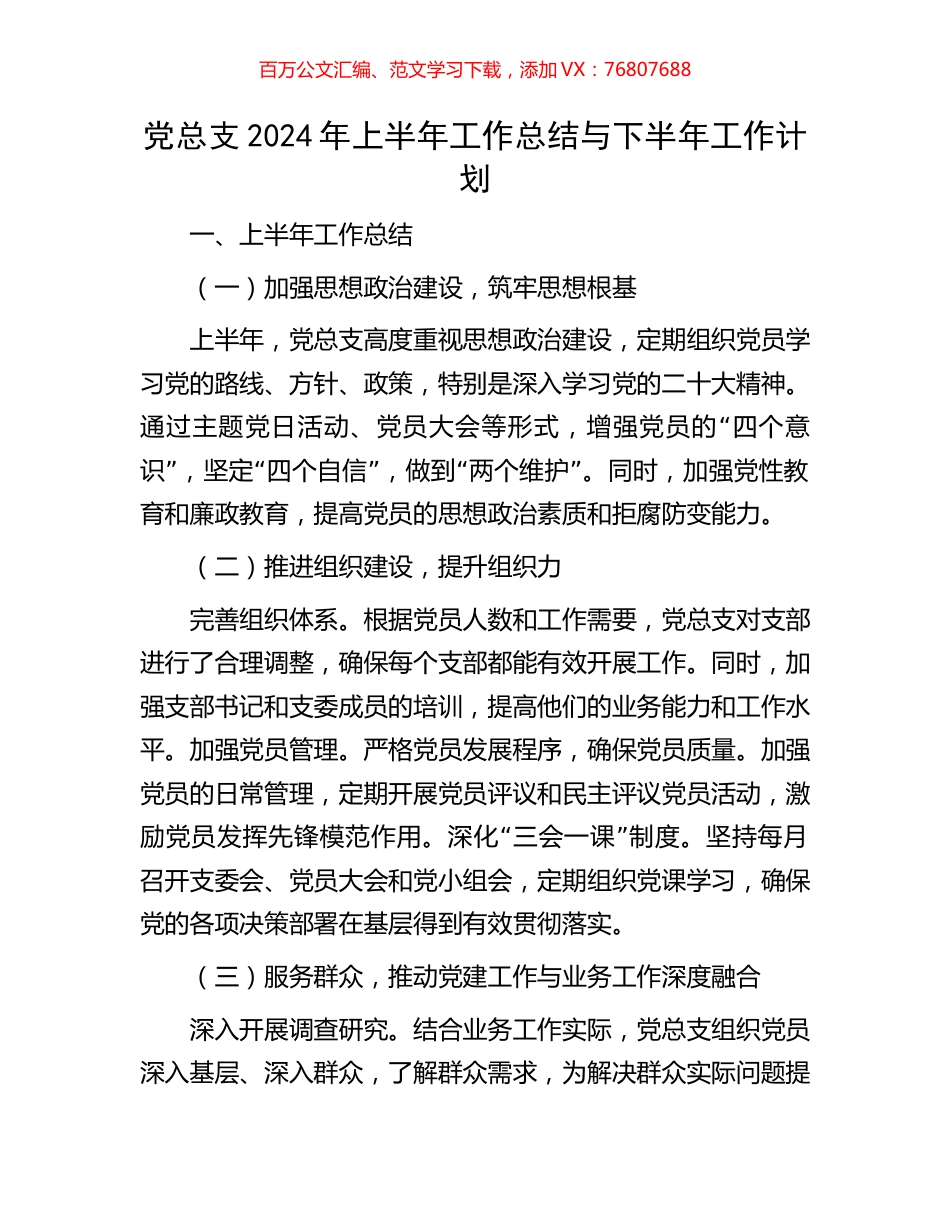 党总支2024年上半年工作总结与下半年工作计划.docx_第1页
