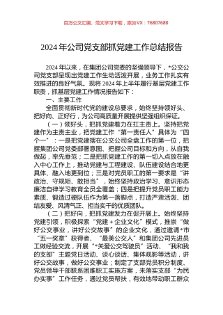 2024年公司党支部抓党建工作总结报告.docx