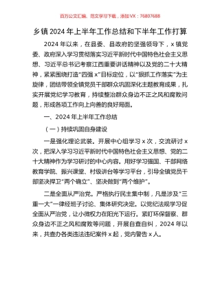 乡镇2024年上半年工作总结和下半年工作打算.docx