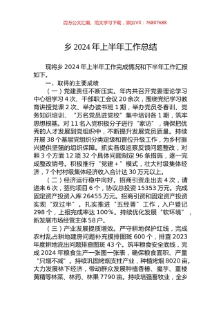 乡2024年上半年工作总结.docx