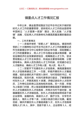 镇重点人才工作情况汇报.docx