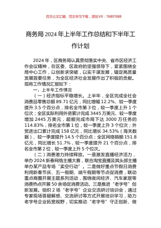 商务局2024年上半年工作总结和下半年工作计划.docx