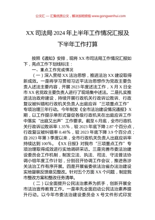 XX司法局2024年上半年工作情况汇报及下半年工作打算.docx