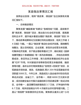 某县微改革情况汇报.docx