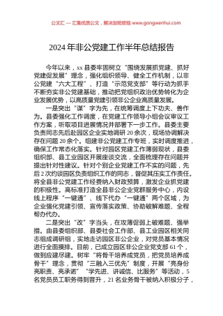 2024年非公党建工作半年总结报告.docx