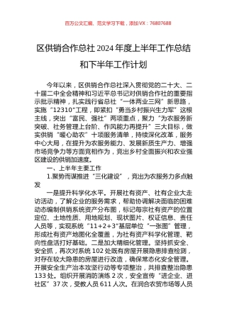 区供销合作总社2024年度上半年工作总结和下半年工作计划.docx