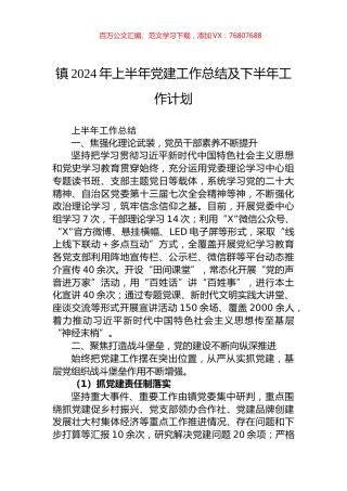 镇2024年上半年党建工作总结及下半年工作计划.docx