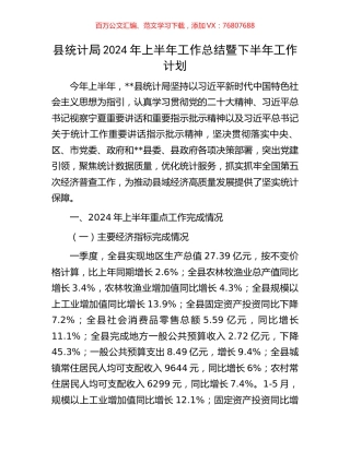 县统计局2024年上半年工作总结暨下半年工作计划.docx