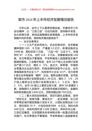 某市2024年上半年经济发展情况报告.docx