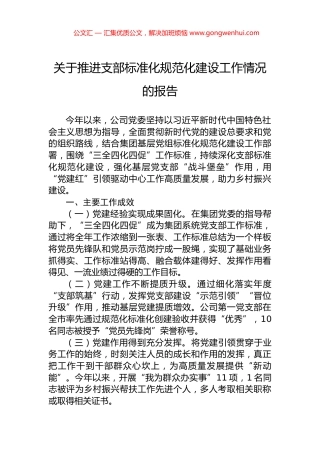 关于推进支部标准化规范化建设工作情况的报告.docx