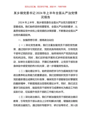 某乡镇党委书记2024年上半年全面从严治党情况报告.docx