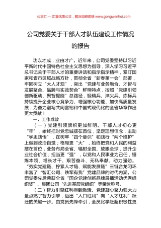 公司党委关于干部人才队伍建设工作情况的报告.docx