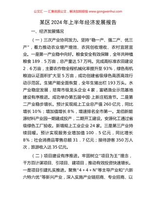 某区2024年上半年经济发展报告 (2).docx