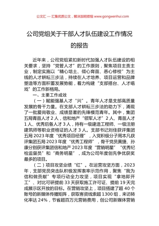 公司党组关于干部人才队伍建设工作情况的报告.docx