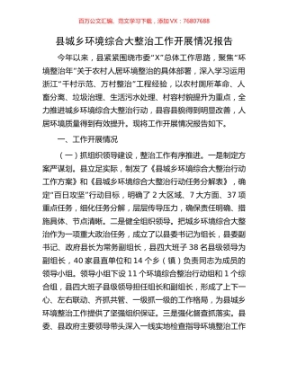 县城乡环境综合大整治工作开展情况报告.docx