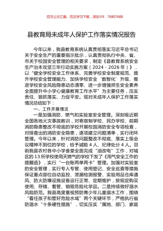 县教育局未成年人保护工作落实情况报告.docx