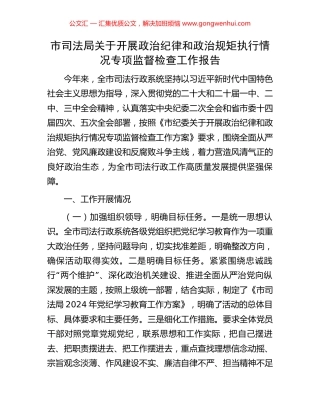 市司法局关于开展政治纪律和政治规矩执行情况专项监督检查工作报告.docx