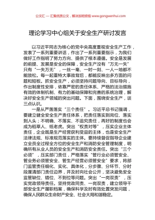 理论学习中心组关于安全生产研讨发言.docx